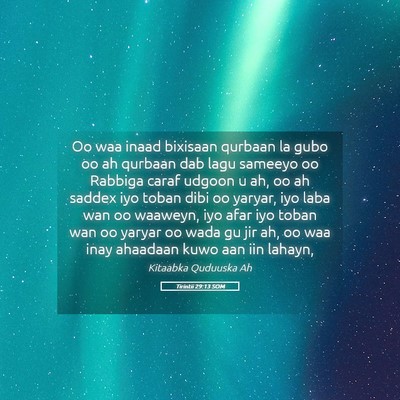 Picture 05 - Tirintii 29:13 SOM - Oo waa inaad bixisaan qurbaan la gubo oo ah - Bible Verse Picture
