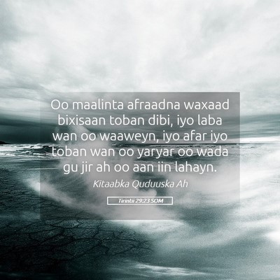 Picture 05 - Tirintii 29:23 SOM - Oo maalinta afraadna waxaad bixisaan toban dibi, - Bible Verse Picture