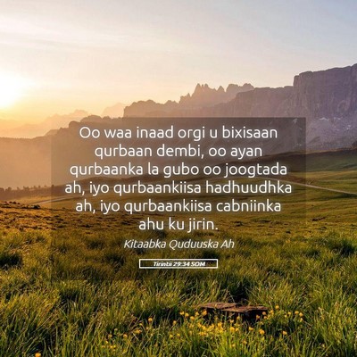Picture 05 - Tirintii 29:34 SOM - Oo waa inaad orgi u bixisaan qurbaan dembi, oo - Bible Verse Picture