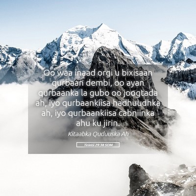 Picture 05 - Tirintii 29:38 SOM - Oo waa inaad orgi u bixisaan qurbaan dembi, oo - Bible Verse Picture