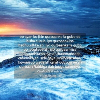 Picture 05 - Tirintii 29:6 SOM - oo ayan ku jirin qurbaanka la gubo ee bisha - Bible Verse Picture