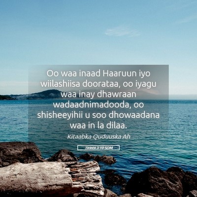Picture 05 - Tirintii 3:10 SOM - Oo waa inaad Haaruun iyo wiilashiisa doorataa, oo - Bible Verse Picture