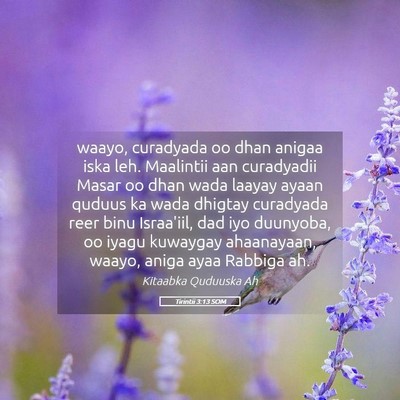 Picture 05 - Tirintii 3:13 SOM - waayo, curadyada oo dhan anigaa iska leh. - Bible Verse Picture