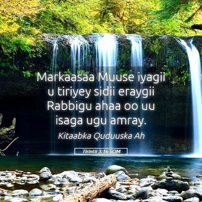 Picture 05 - Tirintii 3:16 SOM - Markaasaa Muuse iyagii u tiriyey sidii eraygii - Bible Verse Picture