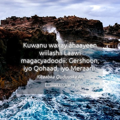 Picture 05 - Tirintii 3:17 SOM - Kuwanu waxay ahaayeen wiilashii Laawi - Bible Verse Picture