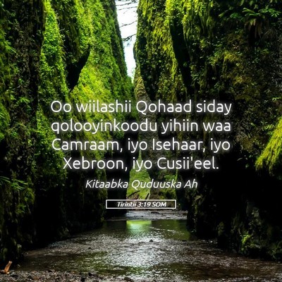 Picture 05 - Tirintii 3:19 SOM - Oo wiilashii Qohaad siday qolooyinkoodu yihiin - Bible Verse Picture