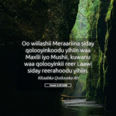 Picture 05 - Tirintii 3:20 SOM - Oo wiilashii Meraariina siday qolooyinkoodu - Bible Verse Picture