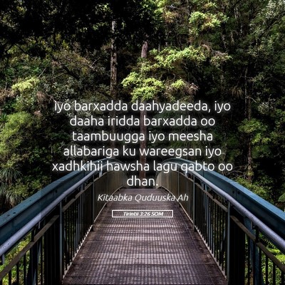 Picture 05 - Tirintii 3:26 SOM - iyo barxadda daahyadeeda, iyo daaha iridda - Bible Verse Picture