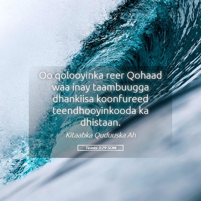Picture 05 - Tirintii 3:29 SOM - Oo qolooyinka reer Qohaad waa inay taambuugga - Bible Verse Picture