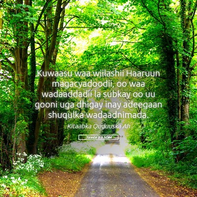 Picture 05 - Tirintii 3:3 SOM - Kuwaasu waa wiilashii Haaruun magacyadoodii, oo - Bible Verse Picture