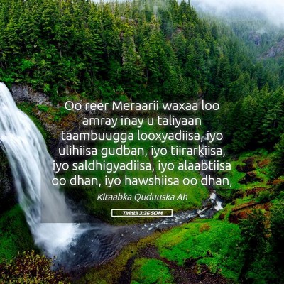 Picture 05 - Tirintii 3:36 SOM - Oo reer Meraarii waxaa loo amray inay u taliyaan - Bible Verse Picture