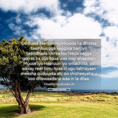 Picture 05 - Tirintii 3:38 SOM - Oo kuwa teendhooyinkooda ka dhistaa taambuugga - Bible Verse Picture