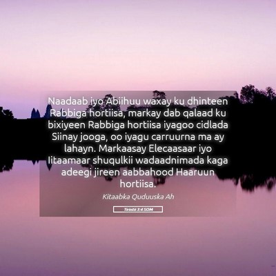 Picture 05 - Tirintii 3:4 SOM - Naadaab iyo Abiihuu waxay ku dhinteen Rabbiga - Bible Verse Picture
