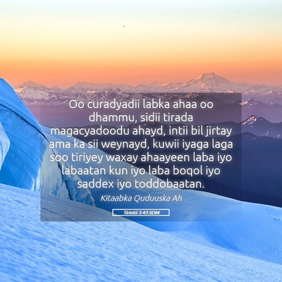 Picture 05 - Tirintii 3:43 SOM - Oo curadyadii labka ahaa oo dhammu, sidii tirada - Bible Verse Picture