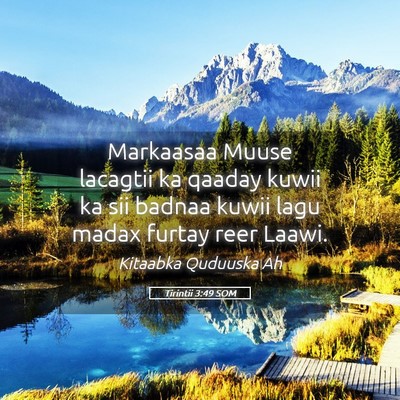 Picture 05 - Tirintii 3:49 SOM - Markaasaa Muuse lacagtii ka qaaday kuwii ka sii - Bible Verse Picture
