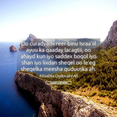 Picture 05 - Tirintii 3:50 SOM - Oo curadyadii reer binu Israa'iil ayuu ka qaaday - Bible Verse Picture