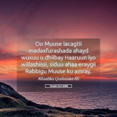 Picture 05 - Tirintii 3:51 SOM - Oo Muuse lacagtii madaxfurashada ahayd wuxuu u - Bible Verse Picture