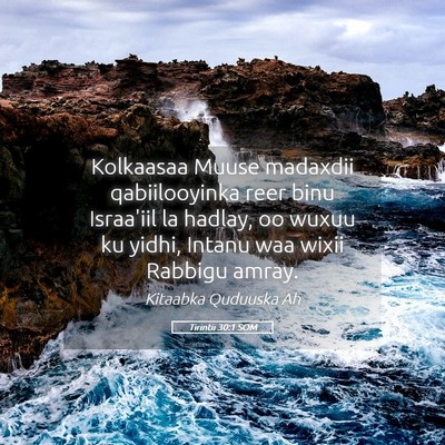 Picture 05 - Tirintii 30:1 SOM - Kolkaasaa Muuse madaxdii qabiilooyinka reer binu - Bible Verse Picture
