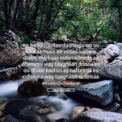 Picture 05 - Tirintii 30:11 SOM - oo haddii ninkeedu maqlo oo uu iska aamuso ee - Bible Verse Picture
