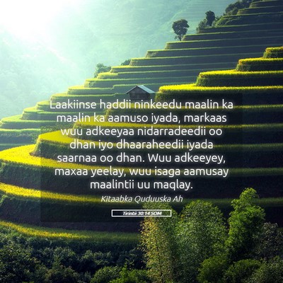 Picture 05 - Tirintii 30:14 SOM - Laakiinse haddii ninkeedu maalin ka maalin ka - Bible Verse Picture