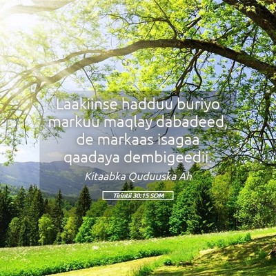 Picture 05 - Tirintii 30:15 SOM - Laakiinse hadduu buriyo markuu maqlay dabadeed, - Bible Verse Picture