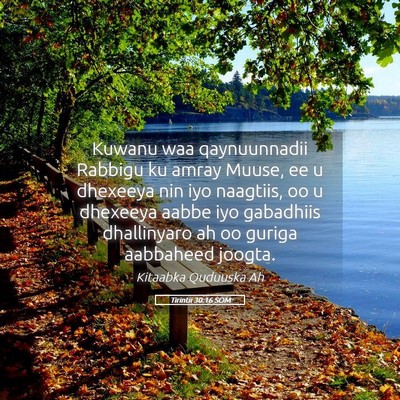 Picture 05 - Tirintii 30:16 SOM - Kuwanu waa qaynuunnadii Rabbigu ku amray Muuse, - Bible Verse Picture