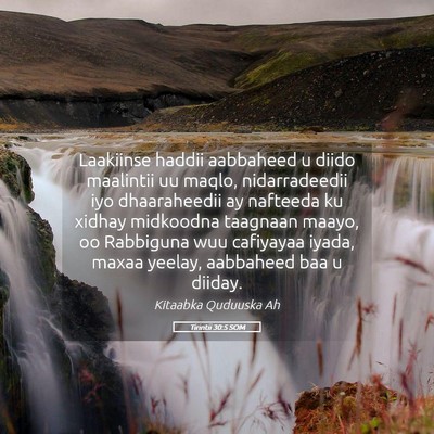 Picture 05 - Tirintii 30:5 SOM - Laakiinse haddii aabbaheed u diido maalintii uu - Bible Verse Picture
