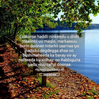 Picture 05 - Tirintii 30:8 SOM - Laakiinse haddii ninkeedu u diido maalintii uu - Bible Verse Picture