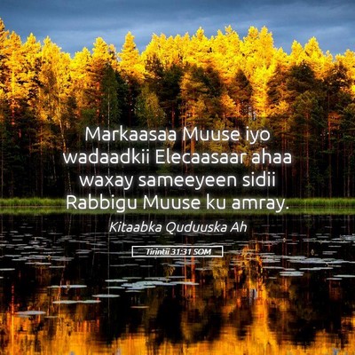 Picture 05 - Tirintii 31:31 SOM - Markaasaa Muuse iyo wadaadkii Elecaasaar ahaa - Bible Verse Picture