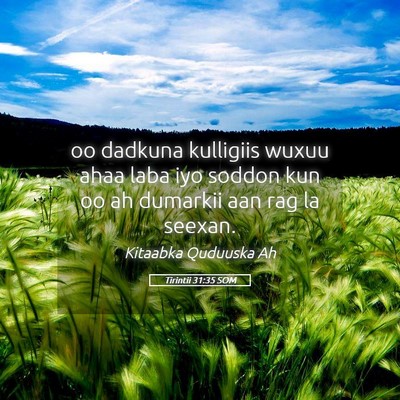 Picture 05 - Tirintii 31:35 SOM - oo dadkuna kulligiis wuxuu ahaa laba iyo soddon - Bible Verse Picture