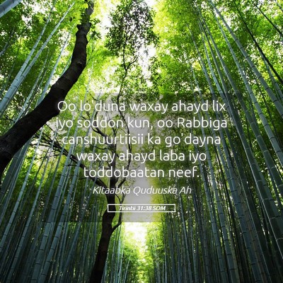 Picture 05 - Tirintii 31:38 SOM - Oo lo'duna waxay ahayd lix iyo soddon kun, oo - Bible Verse Picture