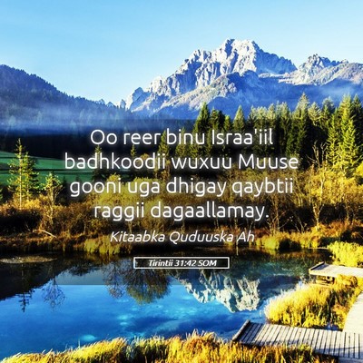 Picture 05 - Tirintii 31:42 SOM - Oo reer binu Israa'iil badhkoodii wuxuu Muuse - Bible Verse Picture