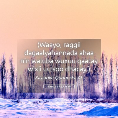 Picture 05 - Tirintii 31:53 SOM - (Waayo, raggii dagaalyahannada ahaa nin waluba - Bible Verse Picture