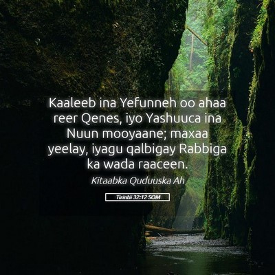 Picture 05 - Tirintii 32:12 SOM - Kaaleeb ina Yefunneh oo ahaa reer Qenes, iyo - Bible Verse Picture