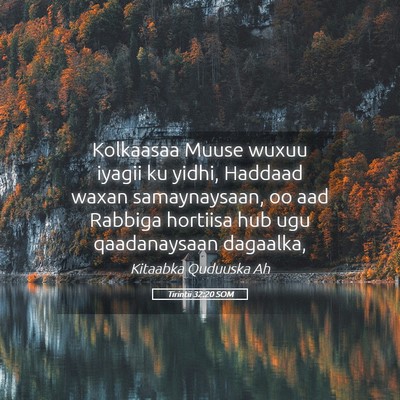 Picture 05 - Tirintii 32:20 SOM - Kolkaasaa Muuse wuxuu iyagii ku yidhi, Haddaad - Bible Verse Picture