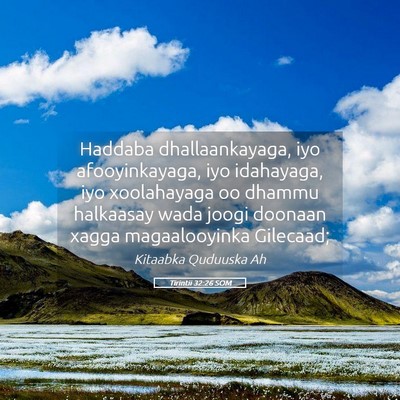 Picture 05 - Tirintii 32:26 SOM - Haddaba dhallaankayaga, iyo afooyinkayaga, iyo - Bible Verse Picture