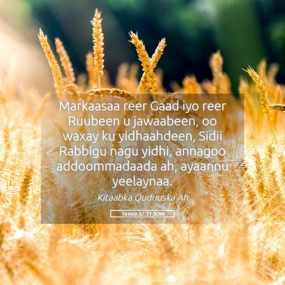 Picture 05 - Tirintii 32:31 SOM - Markaasaa reer Gaad iyo reer Ruubeen u jawaabeen, - Bible Verse Picture