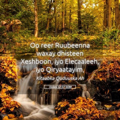 Picture 05 - Tirintii 32:37 SOM - Oo reer Ruubeenna waxay dhisteen Xeshboon, iyo - Bible Verse Picture