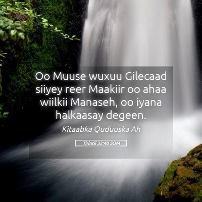 Picture 05 - Tirintii 32:40 SOM - Oo Muuse wuxuu Gilecaad siiyey reer Maakiir oo - Bible Verse Picture