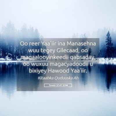 Picture 05 - Tirintii 32:41 SOM - Oo reer Yaa'iir ina Manasehna wuu tegey Gilecaad, - Bible Verse Picture