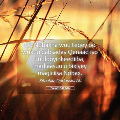 Picture 05 - Tirintii 32:42 SOM - Oo Nobaxna wuu tegey oo wuxuu qabsaday Qenaad iyo - Bible Verse Picture