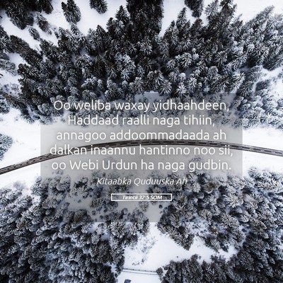 Picture 05 - Tirintii 32:5 SOM - Oo weliba waxay yidhaahdeen, Haddaad raalli naga - Bible Verse Picture