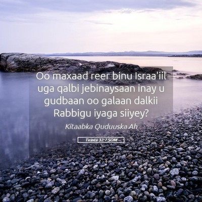 Picture 05 - Tirintii 32:7 SOM - Oo maxaad reer binu Israa'iil uga qalbi - Bible Verse Picture