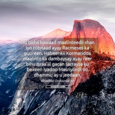 Picture 05 - Tirintii 33:3 SOM - Oo bishii kowaad maalinteedii shan iyo tobnaad - Bible Verse Picture