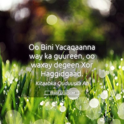 Picture 05 - Tirintii 33:32 SOM - Oo Bini Yacaqaanna way ka guureen, oo waxay - Bible Verse Picture