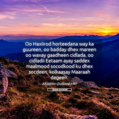 Picture 05 - Tirintii 33:8 SOM - Oo Haxiirod horteedana way ka guureen, oo badday - Bible Verse Picture