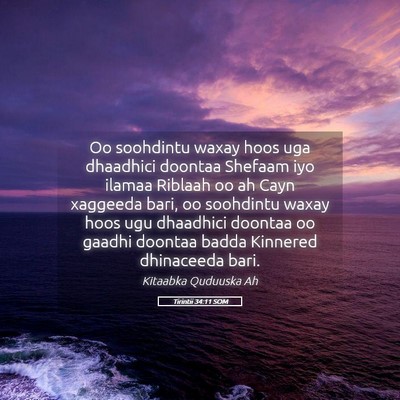 Picture 05 - Tirintii 34:11 SOM - Oo soohdintu waxay hoos uga dhaadhici doontaa - Bible Verse Picture
