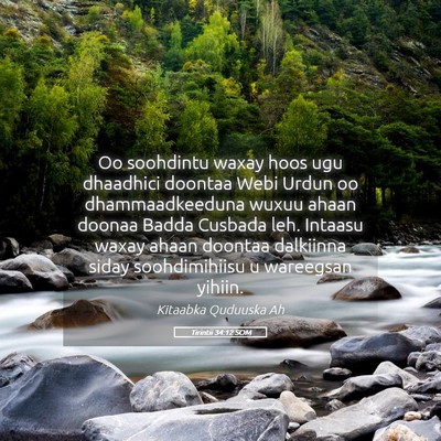 Picture 05 - Tirintii 34:12 SOM - Oo soohdintu waxay hoos ugu dhaadhici doontaa - Bible Verse Picture