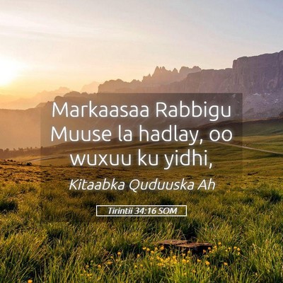 Picture 05 - Tirintii 34:16 SOM - Markaasaa Rabbigu Muuse la hadlay, oo wuxuu ku - Bible Verse Picture