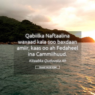 Picture 05 - Tirintii 34:28 SOM - Qabiilka Naftaalina waxaad kala soo baxdaan - Bible Verse Picture